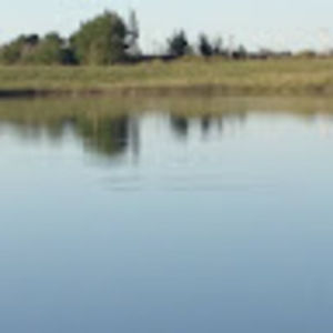 Meet your Posher, Neil